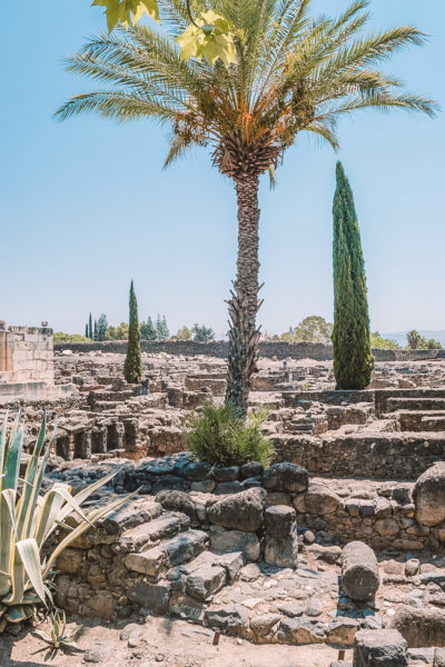 The ruins at Capernaum in Israel sit right next to the Sea of Galilee.