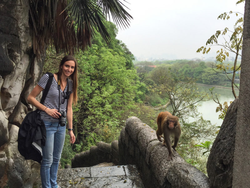The monkeys in Guilin at the Seven Star Park.