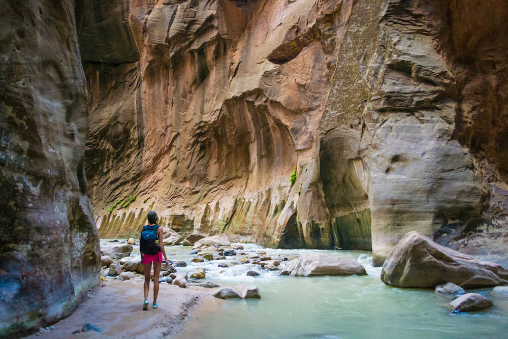The steep canyon walls of The narrows at Zion National Park have water flowing through them.