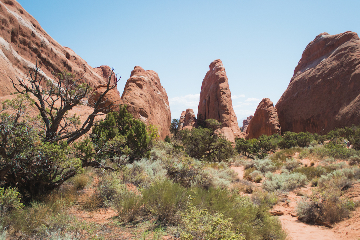 The Devil's Garden trail at Arches National Park.