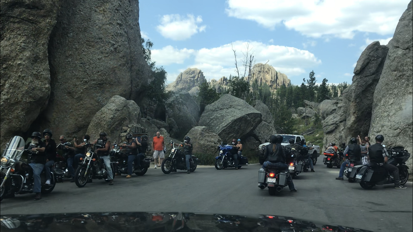 Motorcycles in Custer State Park.