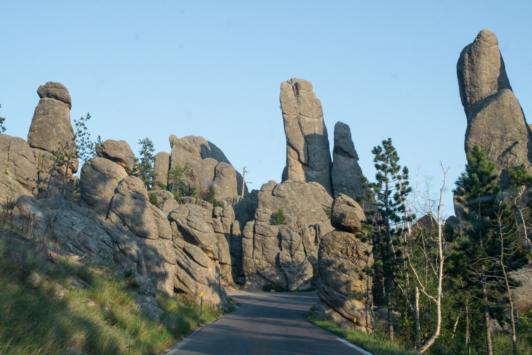 The Needles Scenic Highway in Custer State Park.