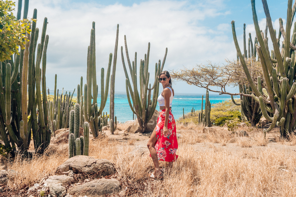 Aruba vs Curacao: Aruba's landscape is so unique with tall cacti and a dry, desert landscape.