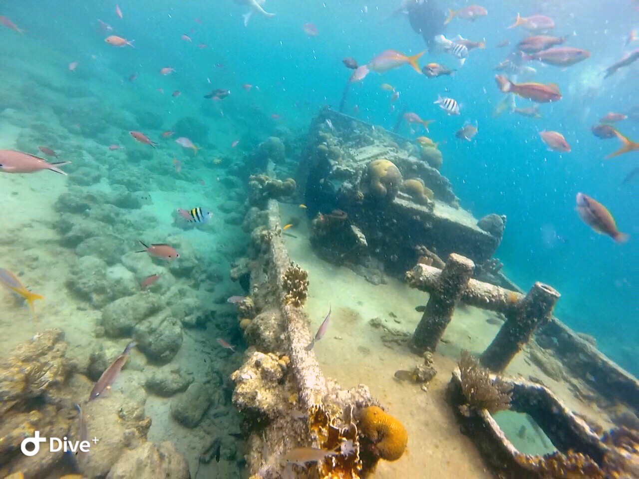 Diving the tugboat wreck off the coast of Curacao.