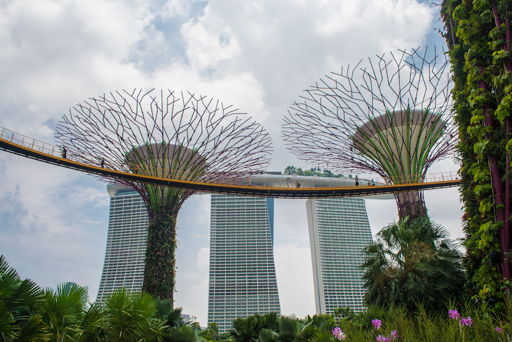 Tha Marina Bay Sands hotel from the Gardens by the Bay.
