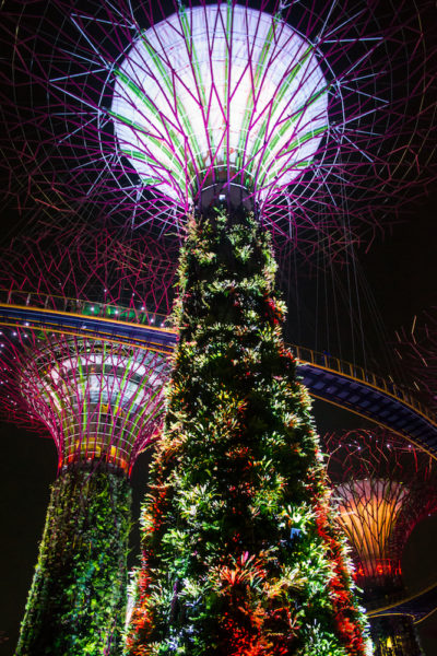 The super trees at night at Gardens By the Bay in Singapore. 