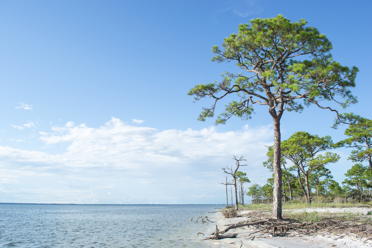 On a road trip from Tallahassee to Destin, make sure St. George Island is on your list!