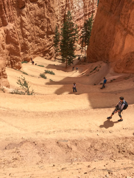 The winding path at Bryce Canyon-one of the big 5 national parks.