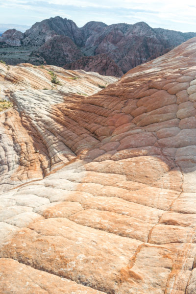 The orange Candy Cliffs of Utah at Yant Flat.