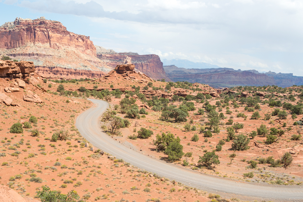 A road leading into the rocks at Panorama Viewpoint in Capital Reef National Park.