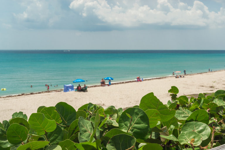 How to Spend a Day at John D. MacArthur Beach State Park in Florida