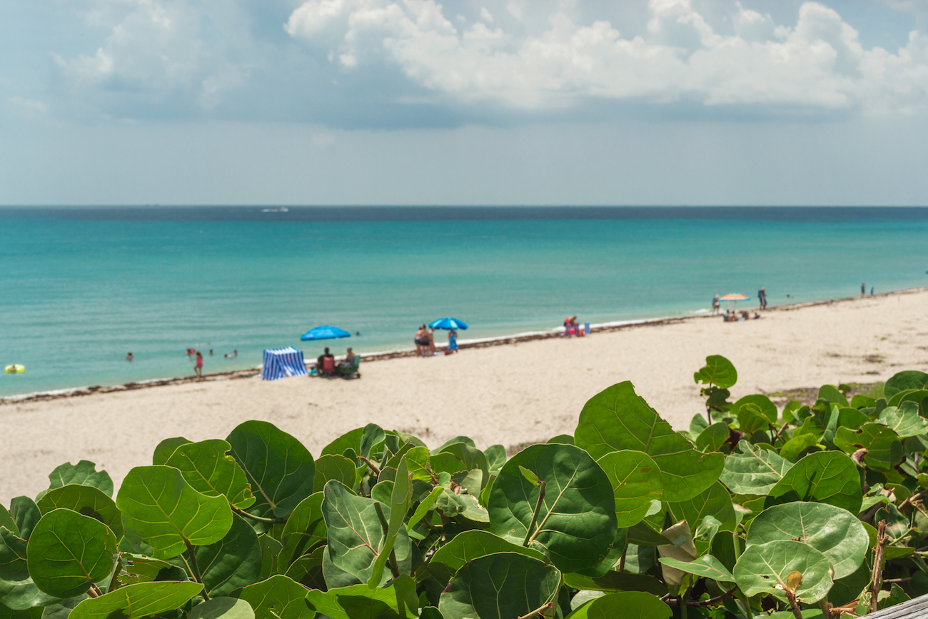 The beach in North Palm Beach, Florida.