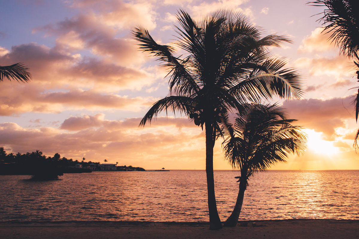 The sunset over the water with palm trees near the shore.
