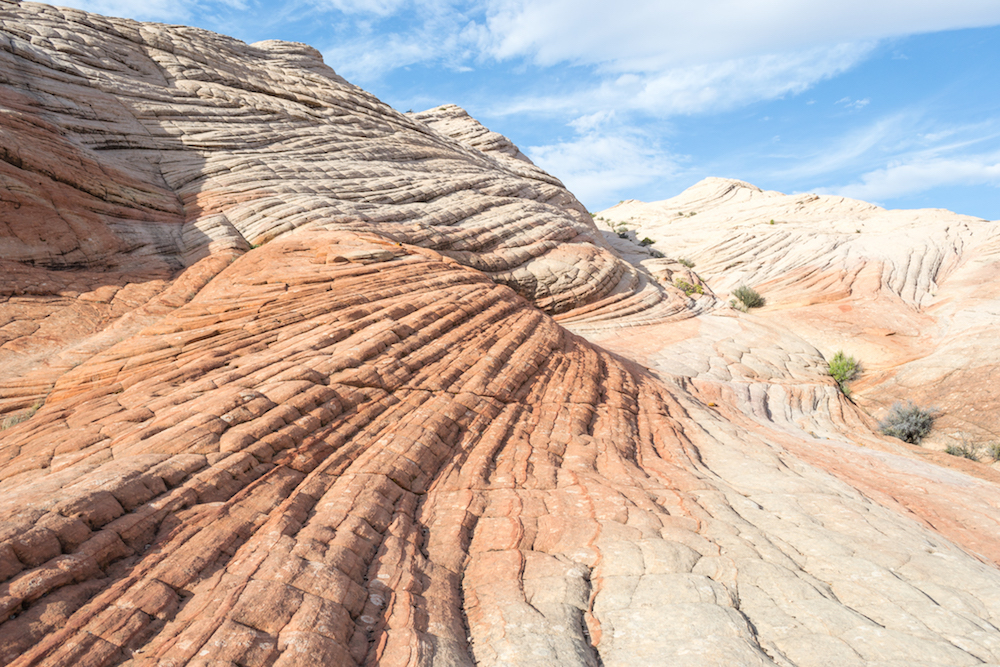 The orange and white swirls of Yant Flat--the Candy Cliffs of Utah!