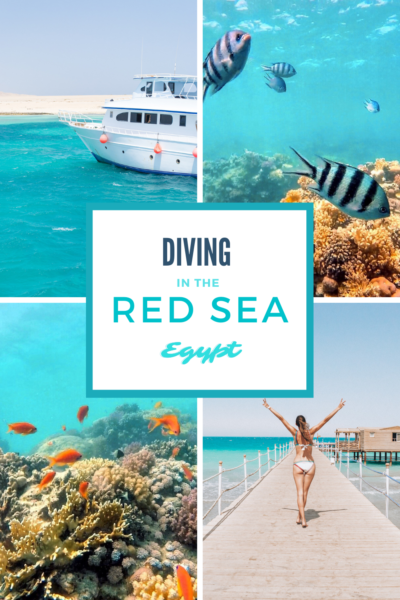What it's like to go diving in the Red Sea of Egypt! 