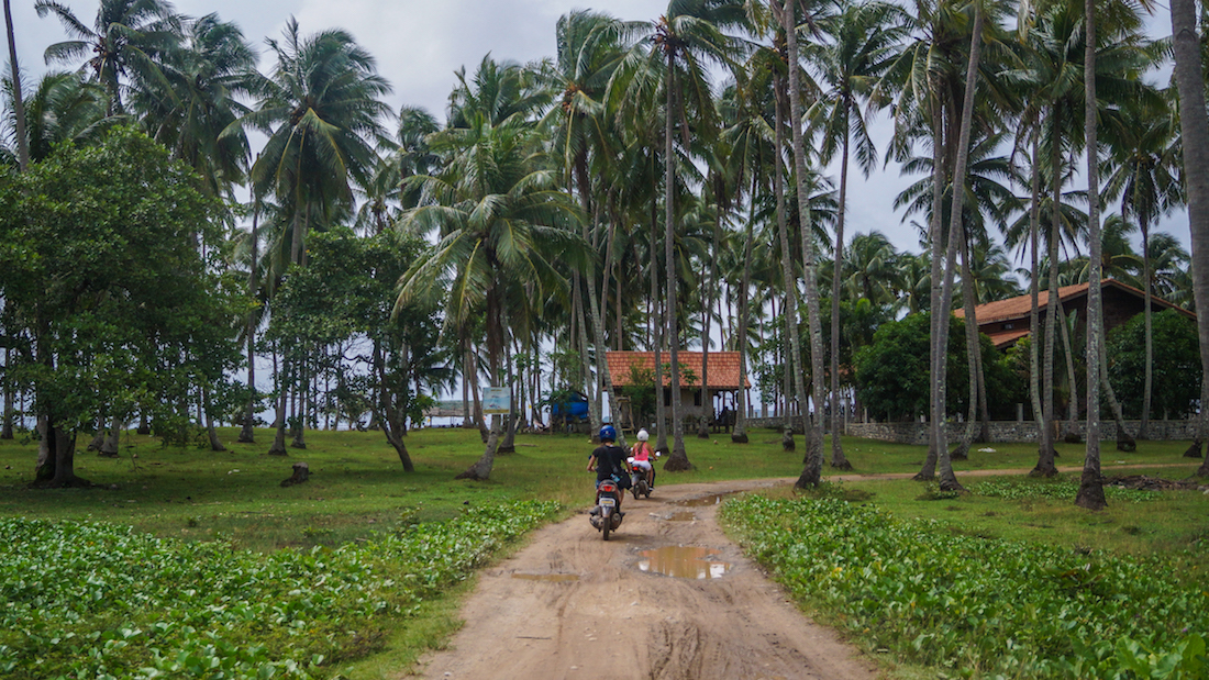 Philippines travel guide--riding a motorbike through the palm trees in El Nido.