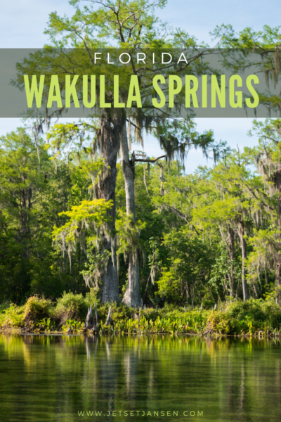 Exploring north Florida's springs at Wakulla Springs.