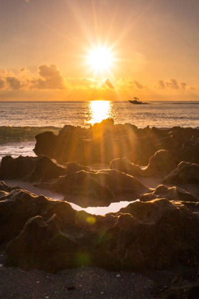 Watch the sunrise at Coral Cove beach: best things to do in Jupiter, Florida.