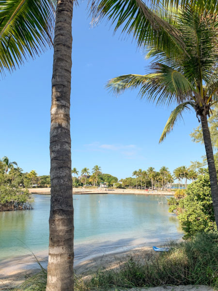 The swimming area at Dubois Park in Jupiter.