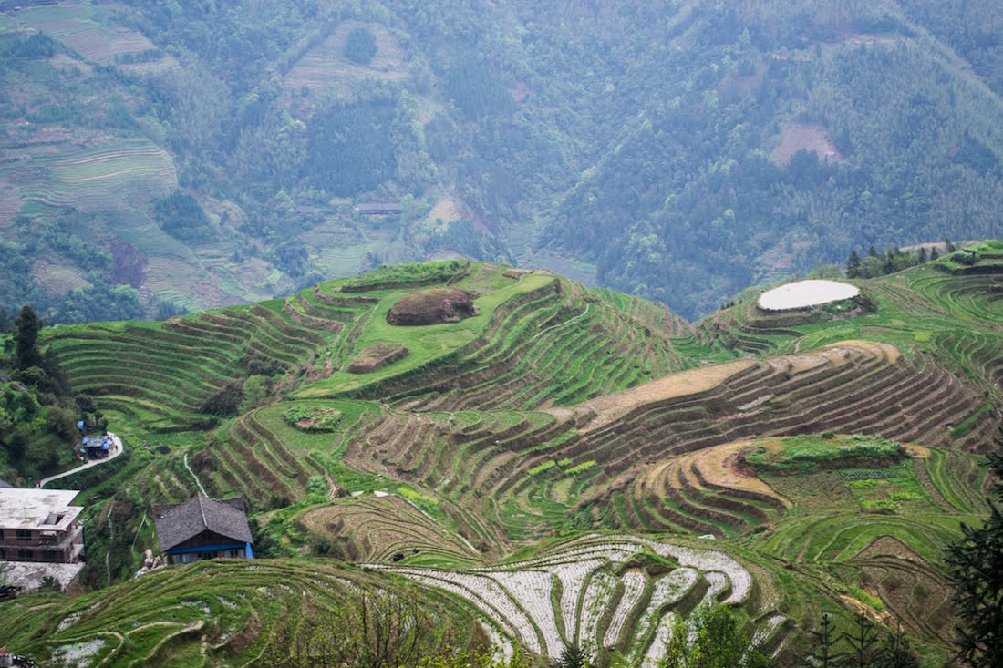 The Longji Rice Terraces in China during early Spring. 
