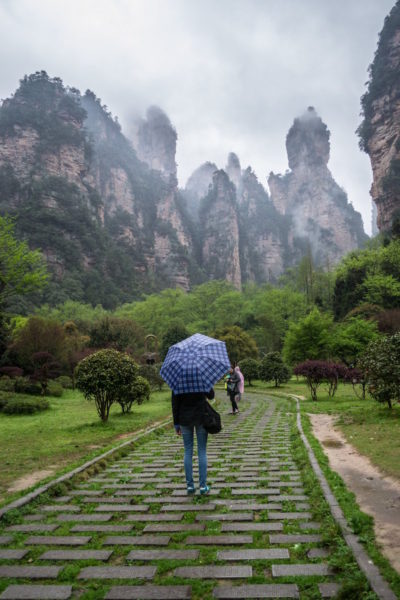 Solo travel in China at Zhangjiajie National forest.