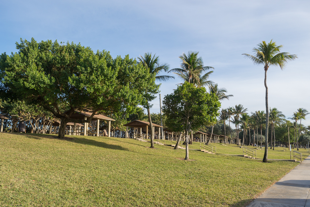 The Carlin Park picnic area. 