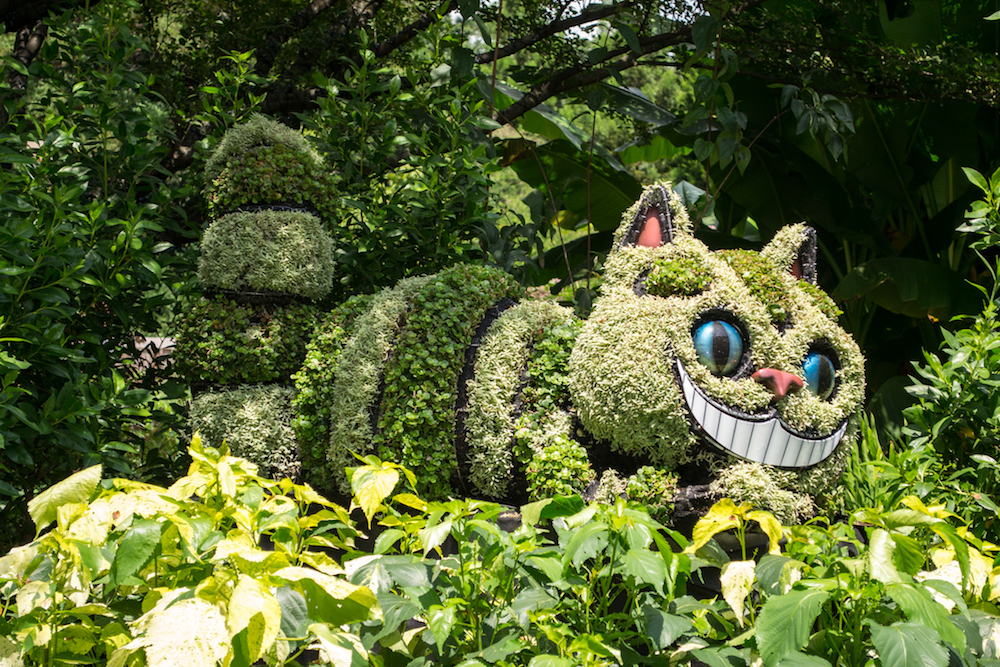 The Cheshire Cat at the Atlanta Botanical Gardens.