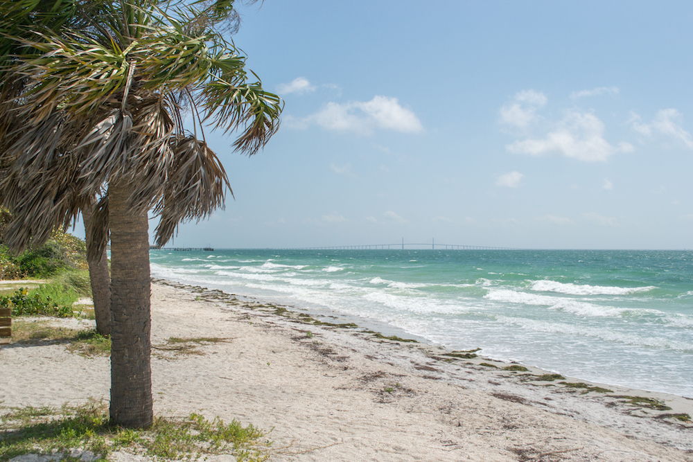 A view of Tampa's Skyway Bridge seen from East Beach.