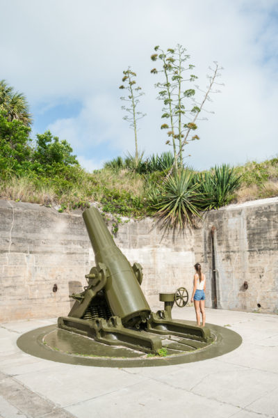 The green artillery at Fort De Soto Park hides behind the fort wall.