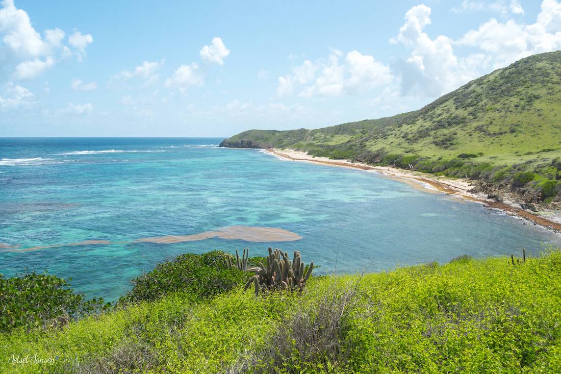 A fun thing to do in St Croix is hike to Isaac's Bay and Jack's Bay.