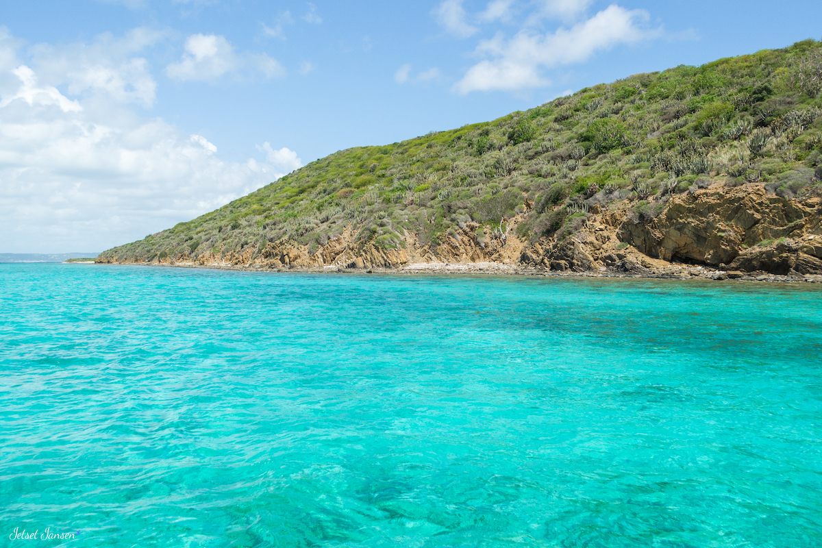 Buck Island Reef National Monument is where you can snorkel an underwater trail through coral.