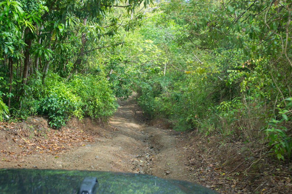 Off-roading in St. Croix.