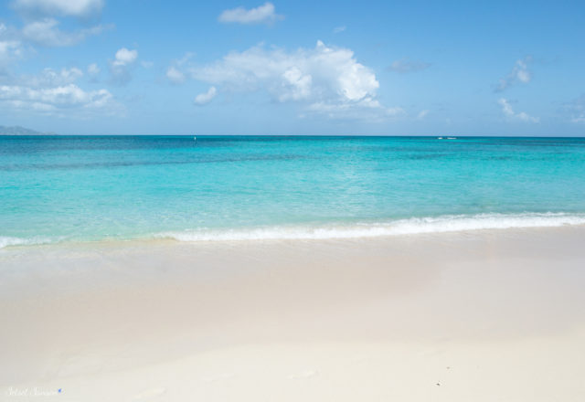 Taking a Day Trip to Buck Island, St. Croix USVI • Jetset Jansen