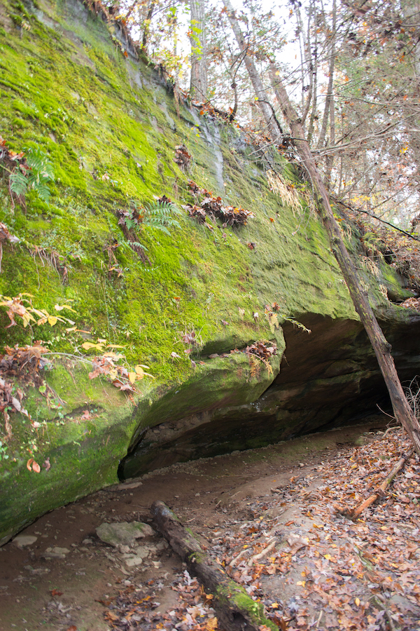 Exploring the Red River Gorge in Kentucky • Jetset Jansen