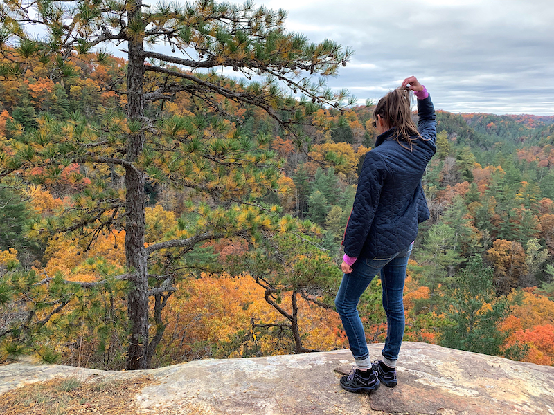 Fall colors at the Red River Gorge in Kentucky.