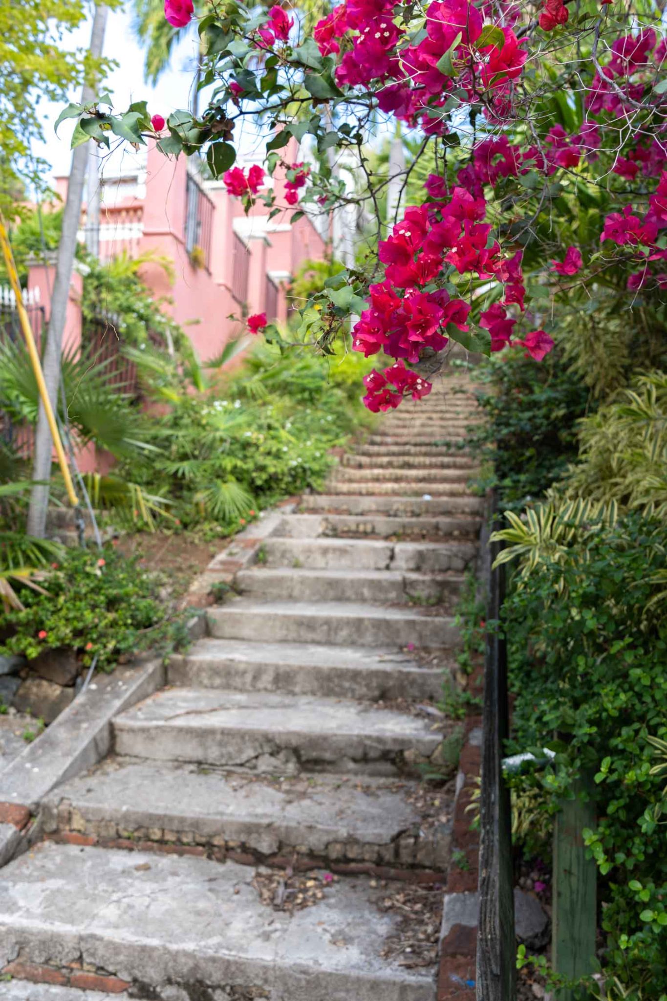 The 99 Steps in Charlotte Amalie. 