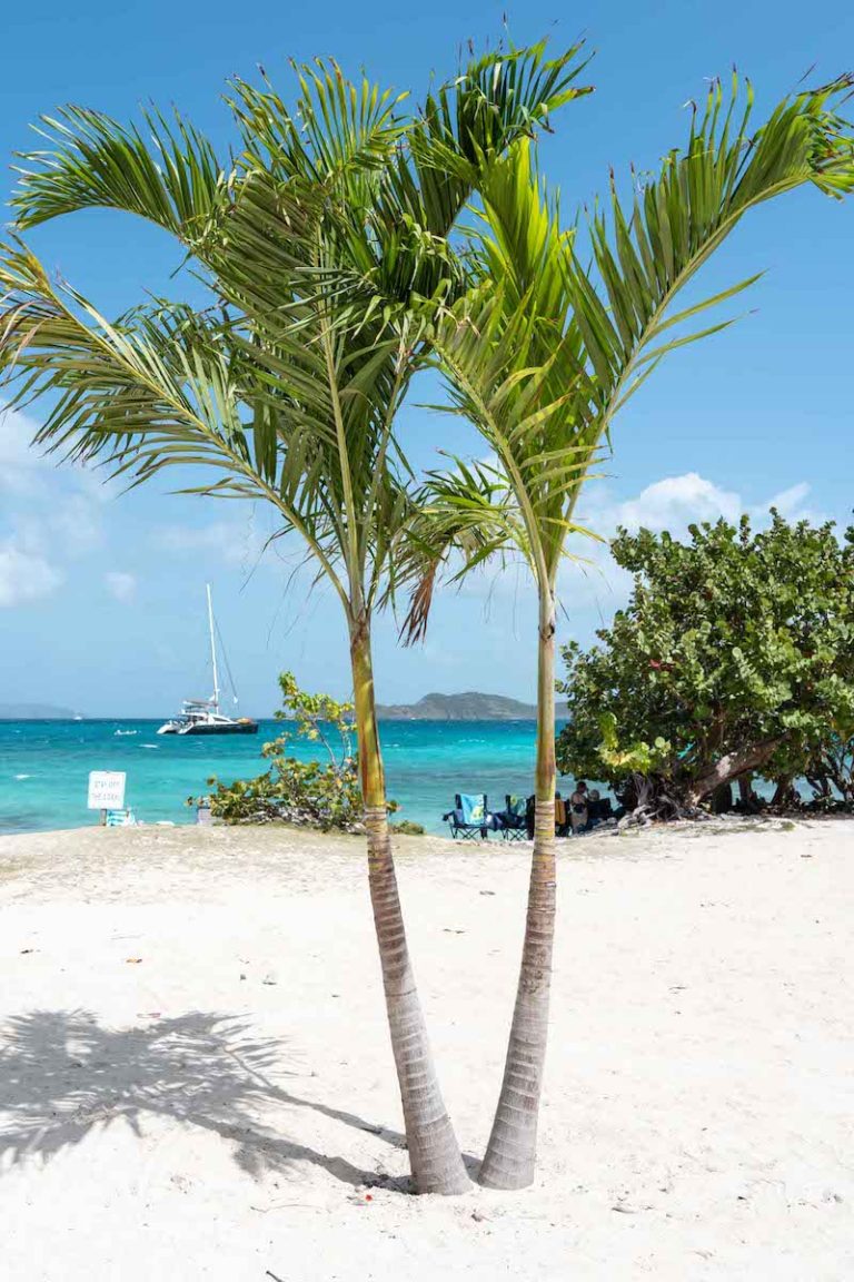 The Best Beaches in St. Thomas, US Virgin Islands • Jetset Jansen