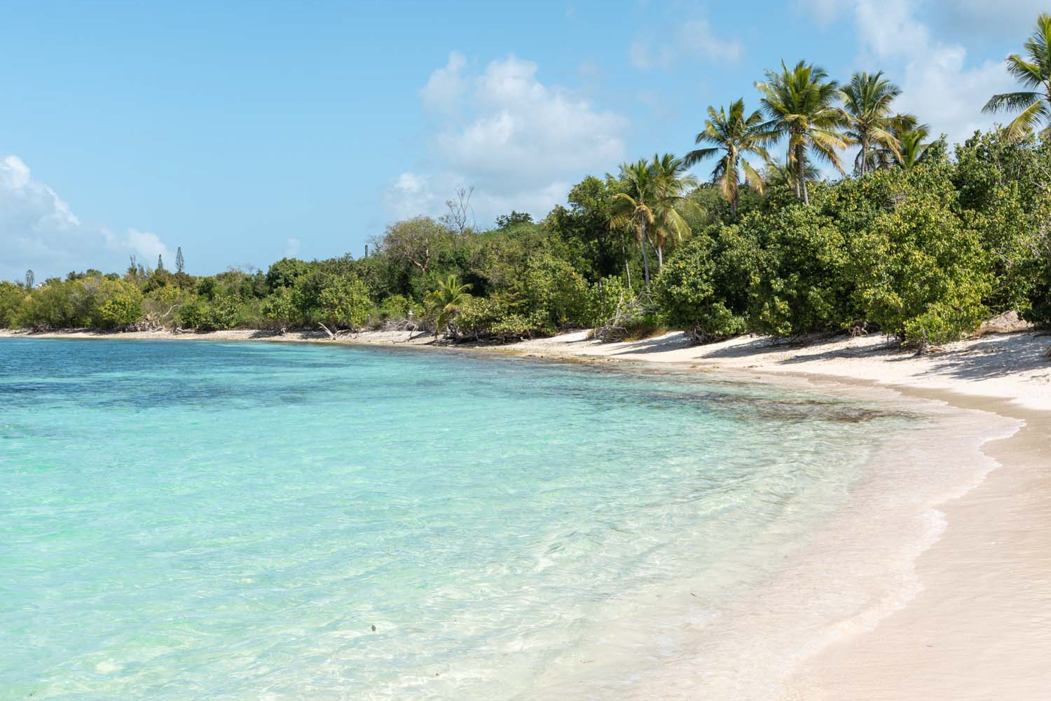 St. Thomas vs St. Croix: which US Virgin Island should you visit?