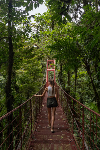 Exploring the Monteverde Cloud Forest.