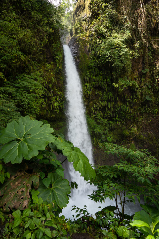 The La Paz Waterfall Gardens in Costa Rica • Jetset Jansen