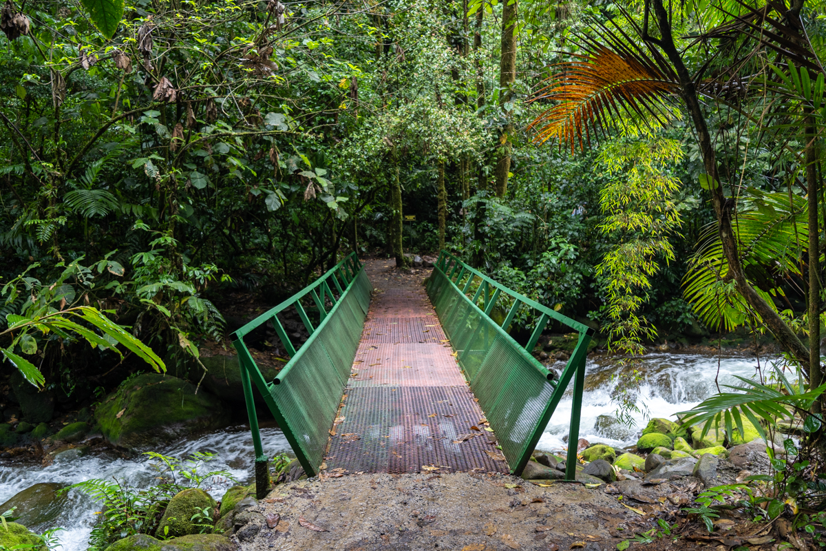 A suspended bridge along the hike to Rio Agrio in Costa Rica.