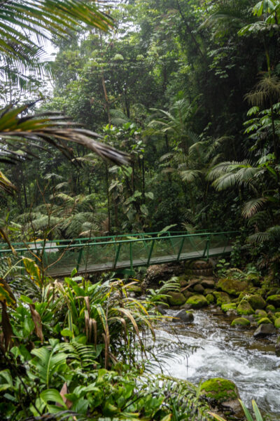A hanging bridge in Costa Rica.