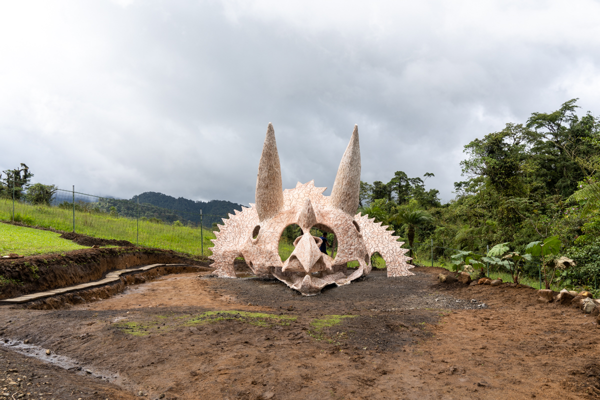 Dinosaur bones at Dinoland in Costa Rica.