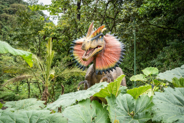 Catarata Rio Agrio in Costa Rica: the Jurassic Park Hike