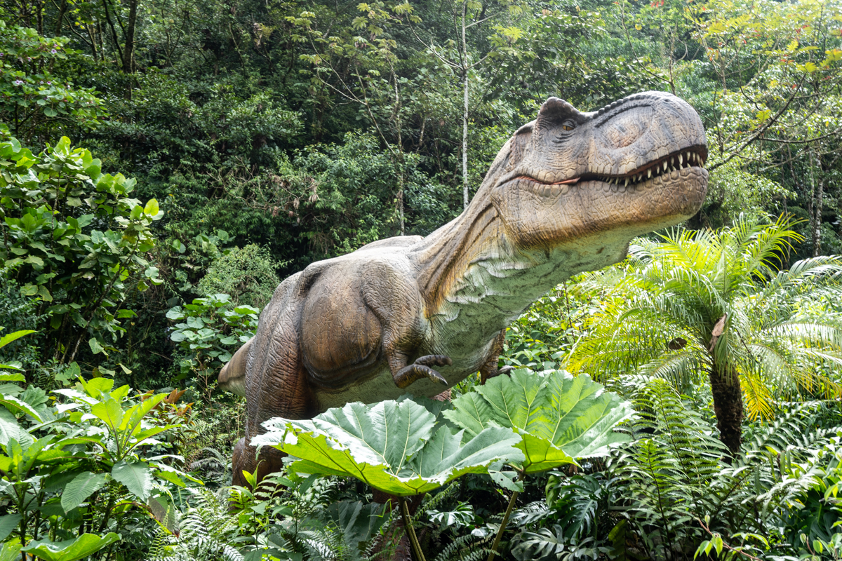 A mechanical t-rex at Dinoland in Costa Rica.