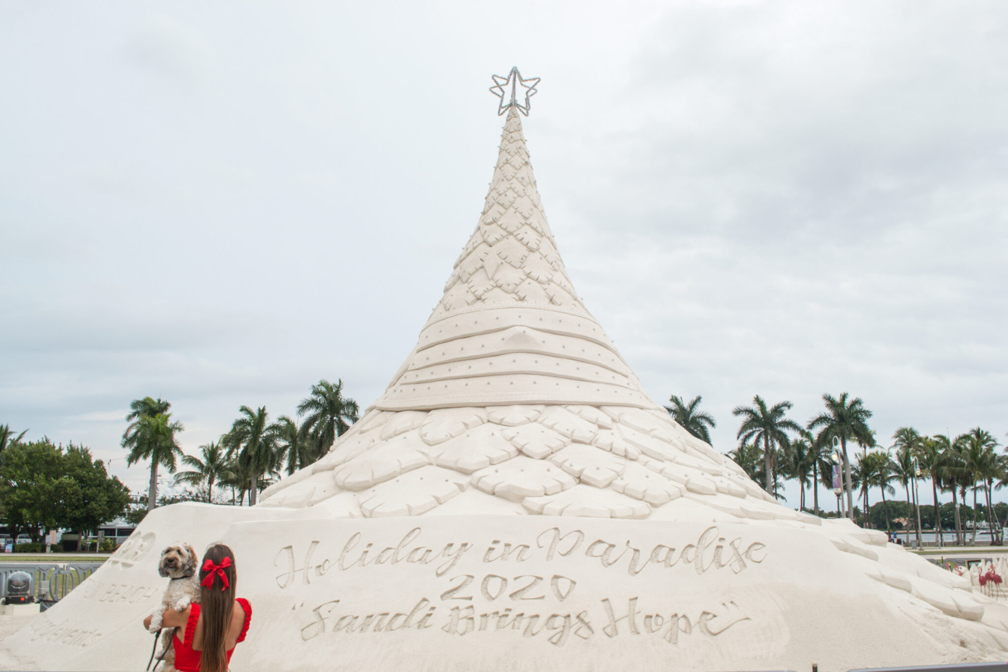 Holiday in Paradise sand tree in West Palm Beach, Florida. 