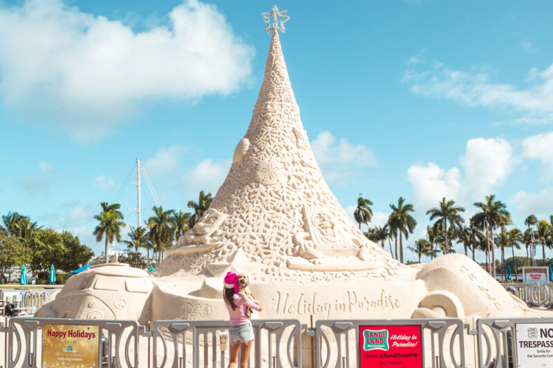 Sandi Land The Sand Tree at Holiday in Paradise, West Palm Beach