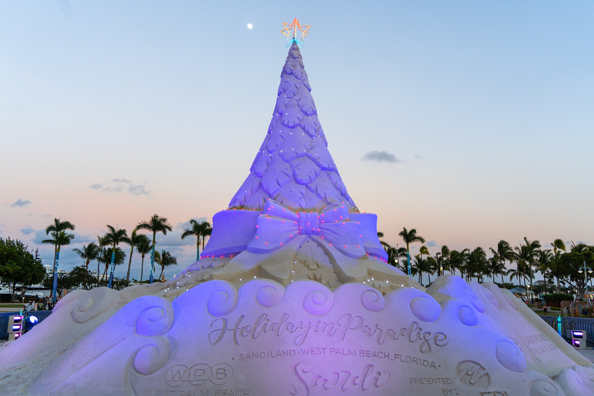 Holiday in Paradise–Sandi Land in West Palm Beach with the giant sand tree! 