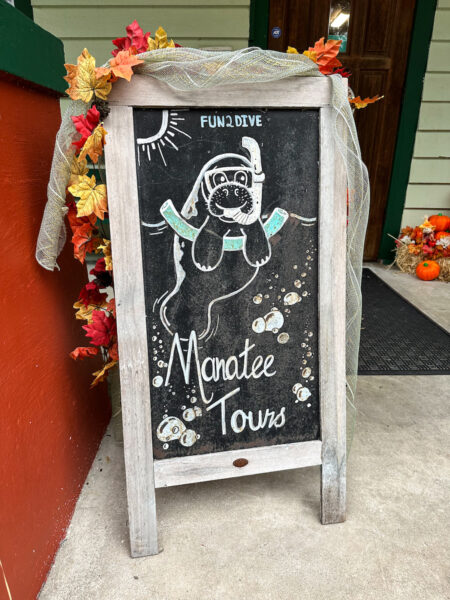 Manatee tours with Fun2Dive