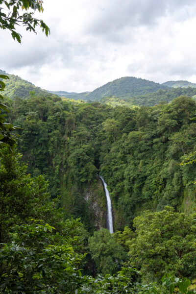 View of a waterfall in Costa Rica in the middle of the jungle.